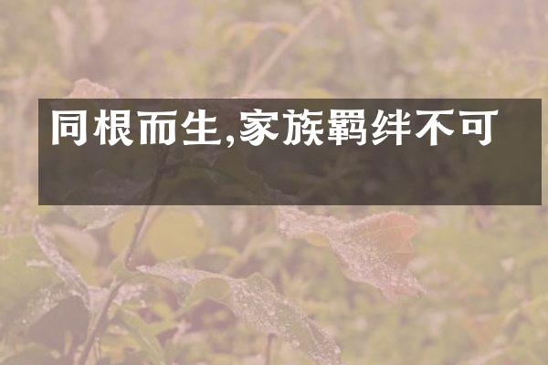 同根而生,家族羁绊不可断