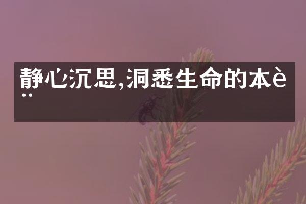 静心沉思,洞悉生命的本质