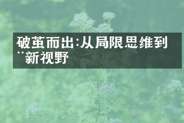 破茧而出:从限思维到全新视野