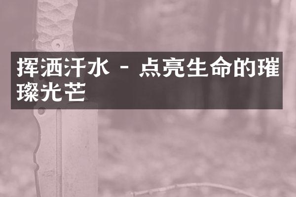 挥洒汗水 - 点亮生命的璀璨光芒