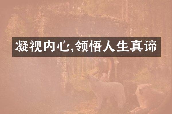 凝视内心,领悟人生真谛