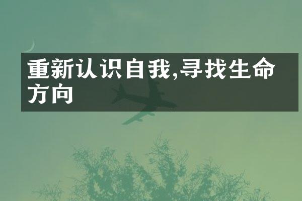 重新认识自我,寻找生命的方向
