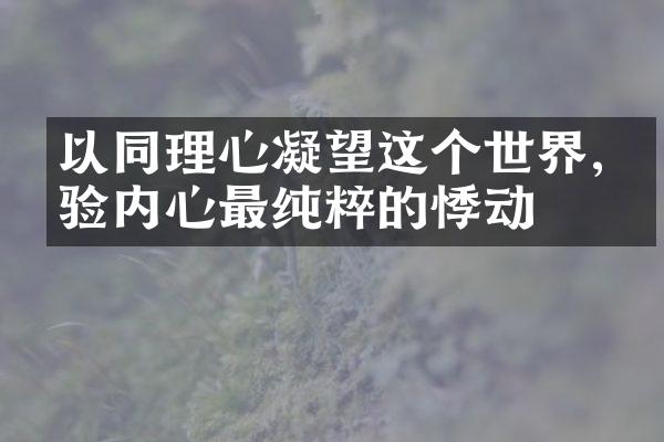 以同理心凝望这个世界,体验内心最纯粹的悸动
