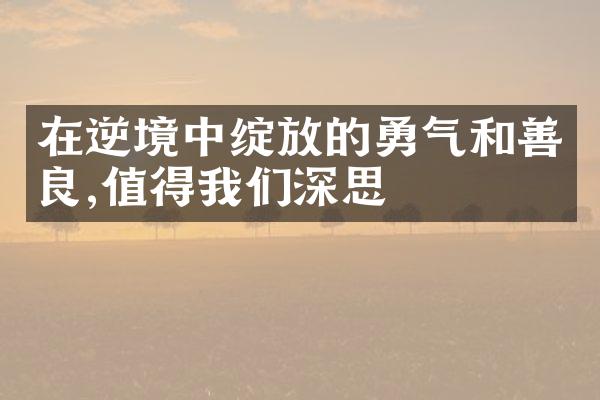 在逆境中绽放的勇气和善良,值得我们深思