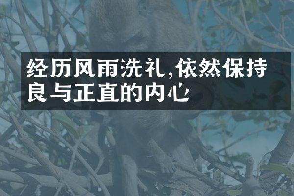 经历风雨洗礼,依然保持善良与正直的内心
