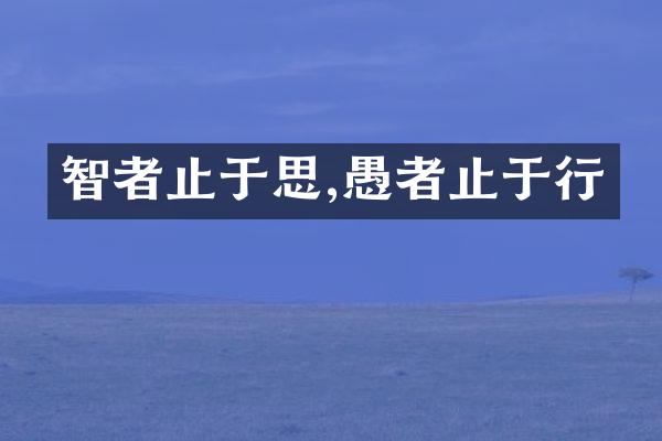 智者止于思,愚者止于行