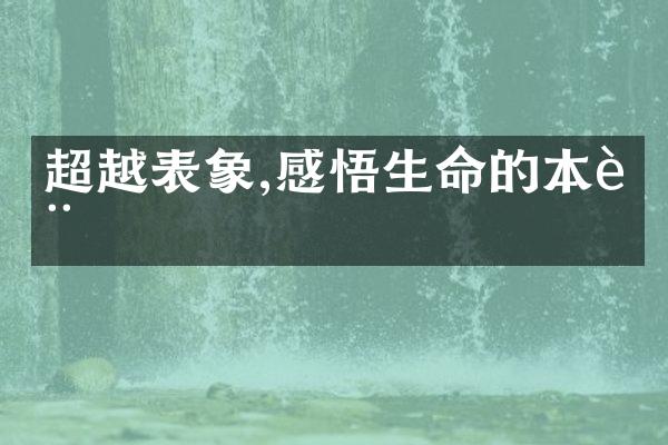 超越表象,感悟生命的本质
