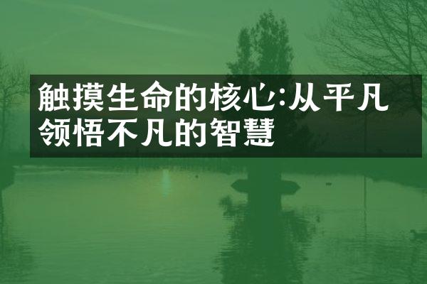 触摸生命的核心:从平凡中领悟不凡的智慧