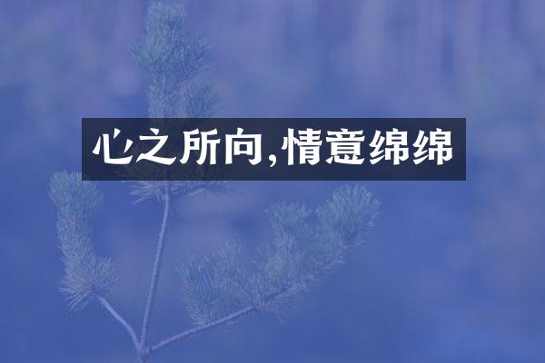 心之所向,情意绵绵