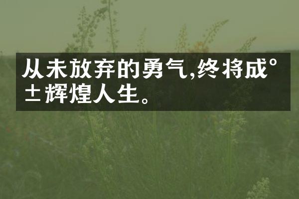 从未放弃的勇气,终将成就辉煌人生。