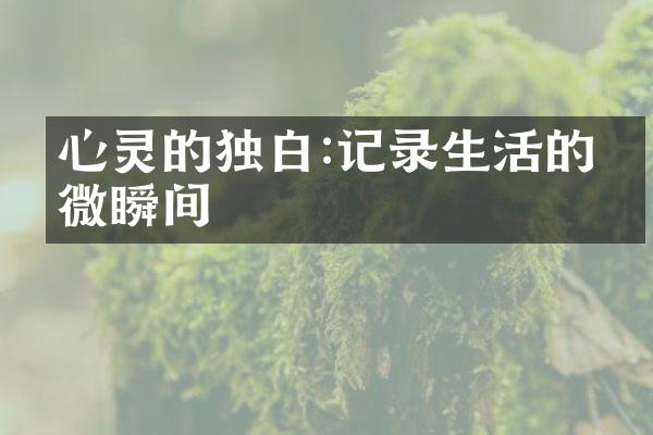 心灵的独白:记录生活的细微瞬间