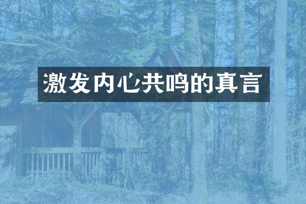 激发内心共鸣的真言