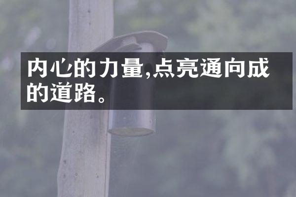 内心的力量,点亮通向成功的道路。