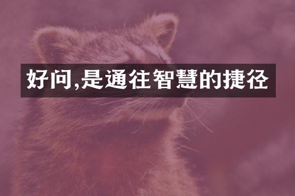 好问,是通往智慧的捷径