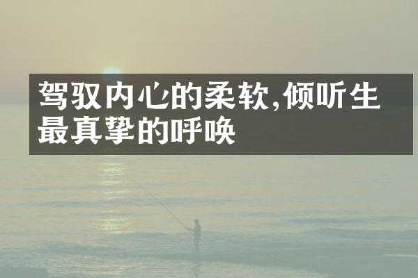 驾驭内心的柔软,倾听生命最真挚的呼唤