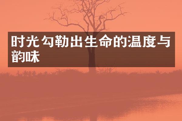 时光勾勒出生命的温度与韵味