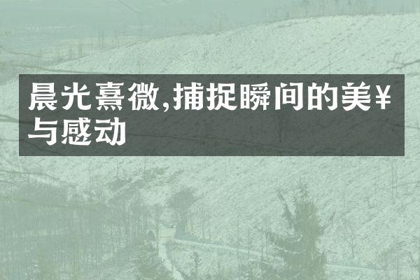 晨光熹微,捕捉瞬间的美好与感动