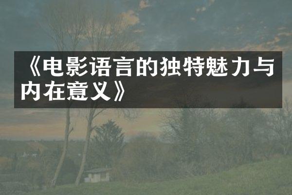 《电影语言的独特魅力与内在意义》