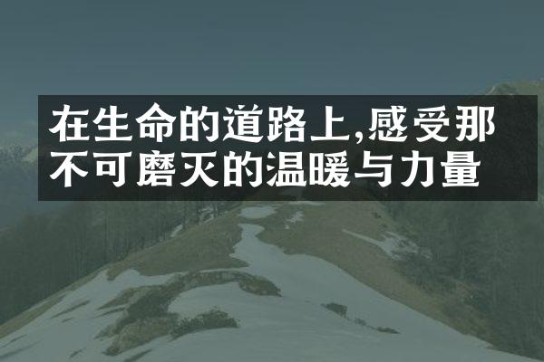 在生命的道路上,感受那份不可磨灭的温暖与力量