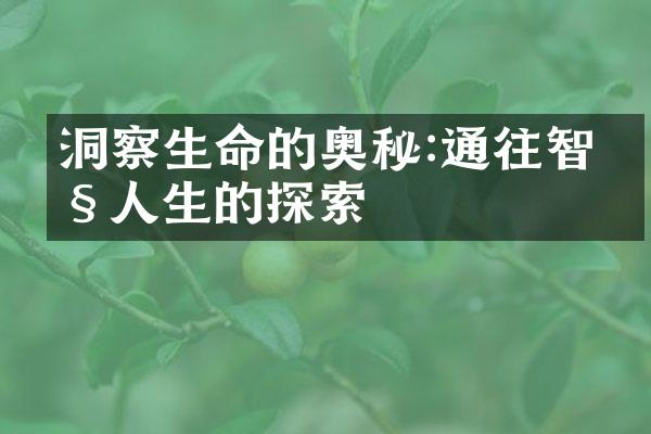 洞察生命的奥秘:通往智慧人生的探索