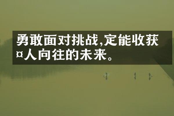 勇敢面对挑战,定能收获令人向往的未来。
