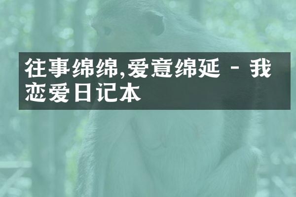 往事绵绵,爱意绵延 - 我的恋爱日记本