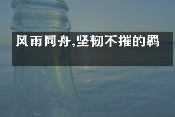 风雨同舟,坚韧不摧的羁绊
