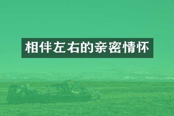 相伴左右的亲密情怀