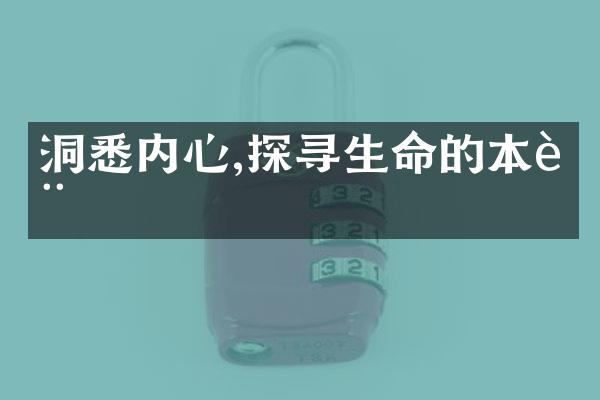 洞悉内心,探寻生命的本质