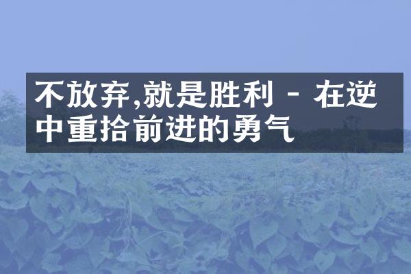 不放弃,就是胜利 - 在逆境中重拾前进的勇气
