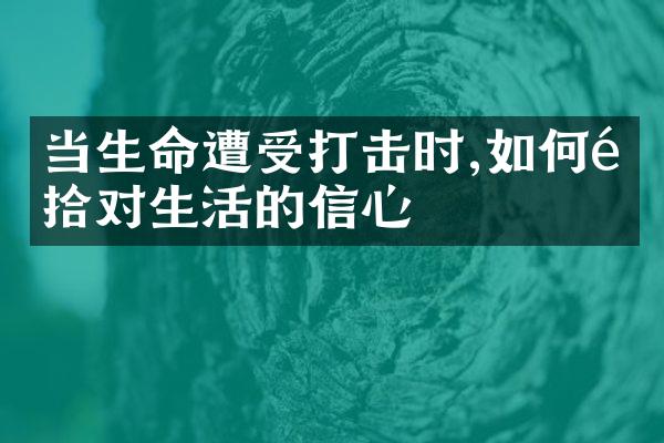 当生命遭受打击时,如何重拾对生活的信心