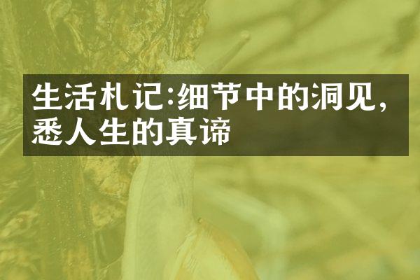 生活札记:细节中的洞见,洞悉人生的真谛