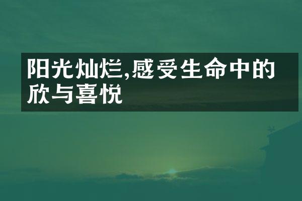 阳光灿烂,感受生命中的欢欣与喜悦