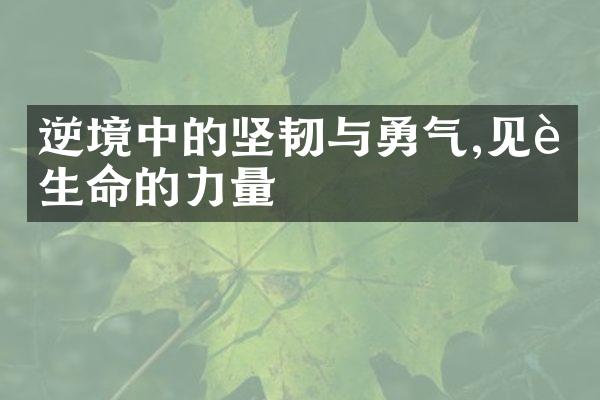 逆境中的坚韧与勇气,见证生命的力量