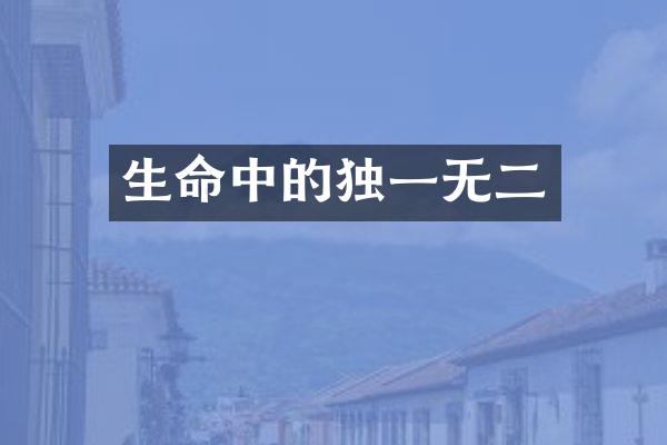 生命中的独一无二
