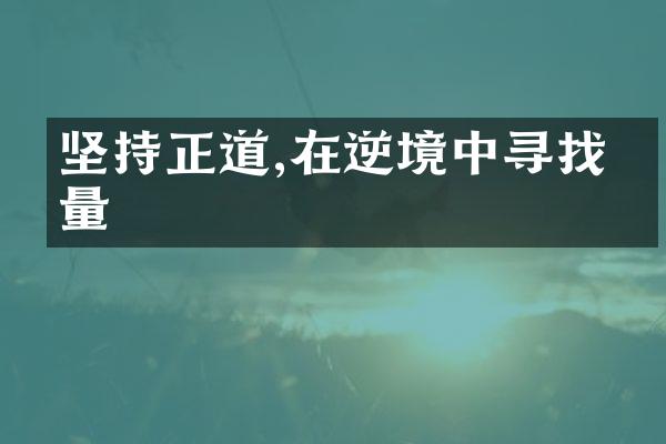坚持正道,在逆境中寻找力量