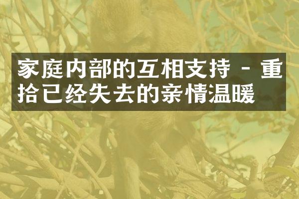 家庭内的互相支持 - 重拾已经失去的亲情温暖