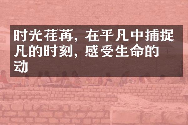 时光荏苒, 在平凡中捕捉不凡的时刻, 感受生命的律动
