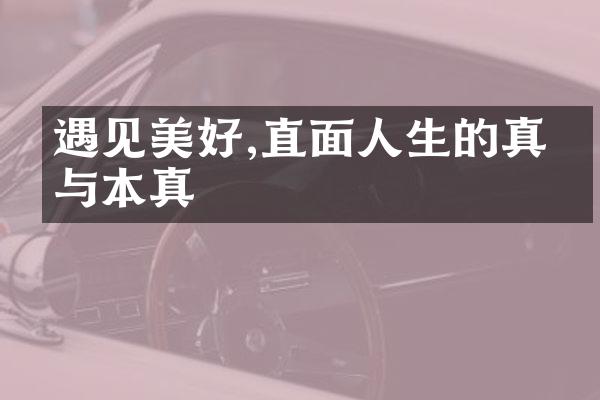 遇见美好,直面人生的真实与本真