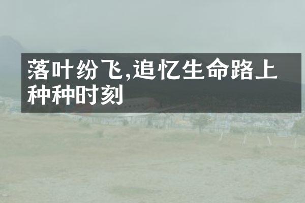 落叶纷飞,追忆生命路上的种种时刻