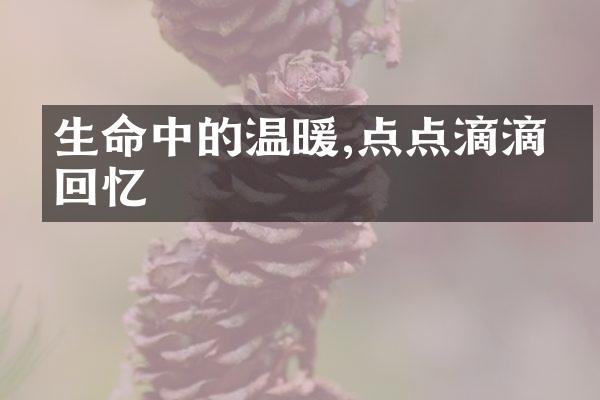 生命中的温暖,点点滴滴的回忆