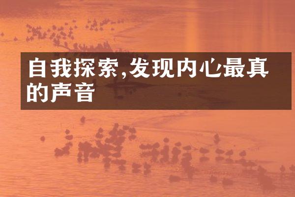 自我探索,发现内心最真挚的声音