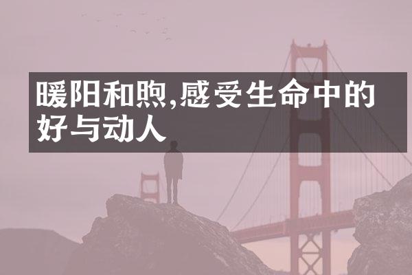 暖阳和煦,感受生命中的美好与动人