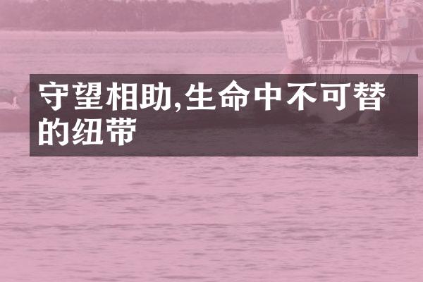 守望相助,生命中不可替代的纽带