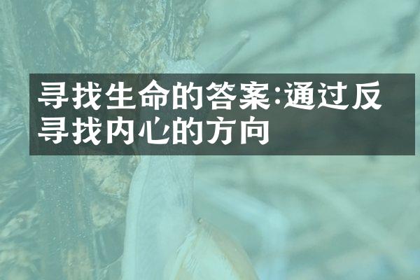 寻找生命的答案:通过反思寻找内心的方向