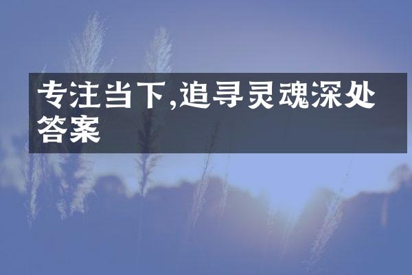 专注当下,追寻灵魂深处的答案