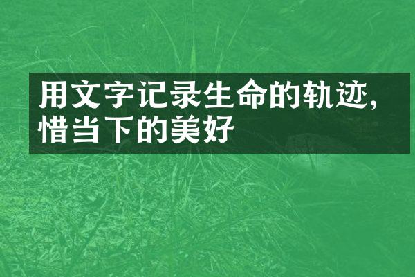 用文字记录生命的轨迹,珍惜当下的美好