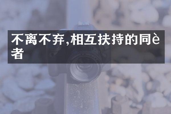 不离不弃,相互扶持的同行者
