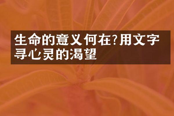 生命的意义何在?用文字探寻心灵的渴望