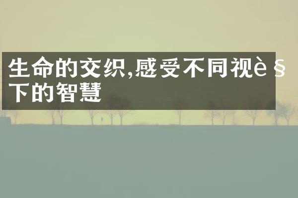 生命的交织,感受不同视角下的智慧